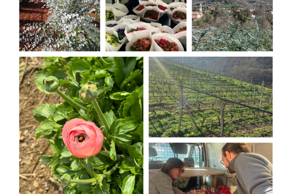 Il valore dei coltivatori locali e il costo dietro ogni fiore