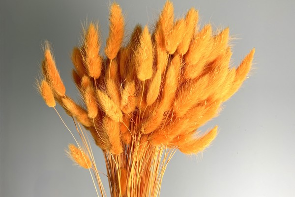 Arancione