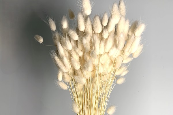 Sbiancato