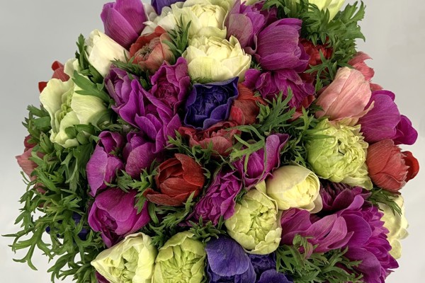 Mixed colours