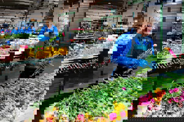 Packaging Personalizzato