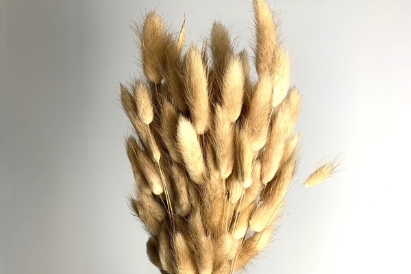 Naturale